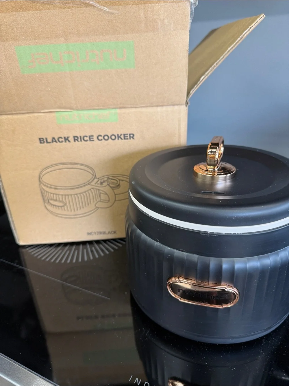 Nutrichef electric food